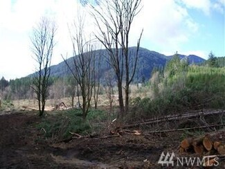 0 Carr Rd Unit 1367277, Randle, WA 98377