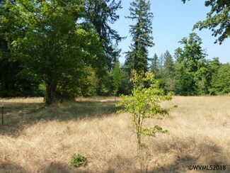 1345 SW Spring St, Mill City, OR 97360