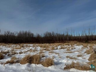 TBD County Road 61, Carlton, MN 55718