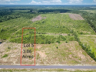 TBD Bellaire Dr Unit Lot 5, Nichols, SC 29581