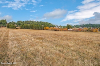 L1B1 W Limits Ln, Coeur D'Alene, ID 83814