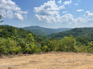 0 Big Four Rd, Lafollette, TN 37766
