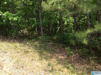 0 Hoyt Hill Rd Unit 1 816122, Ashville, AL 35953