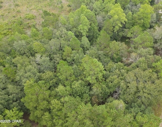 0 Ln, Bonifay, FL 32425