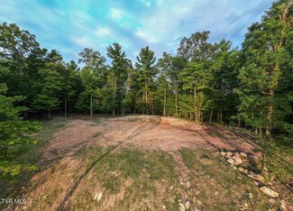 157 Hunters Ridge Ln, Elizabethton, TN 37643