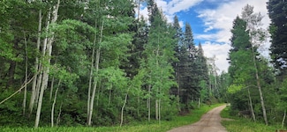 454 Mccoy Creek Dr, Durango, CO 81301