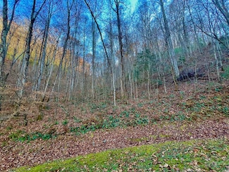 22 Davis Walker Ridge, Mineral Bluff, GA 30559