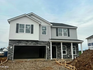 228 Chimney View Loop, Blountville, TN 37617