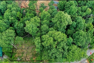 Lot 111 Dollys Dr, Sevierville, TN 37876