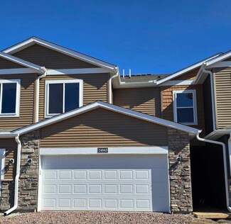 14843 Willemite St NW, Ramsey, MN 55303