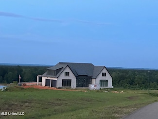 33 E Big Branch Dr, Carriere, MS 39426