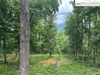 TBD Autumn Ln, West Jefferson, NC 28694