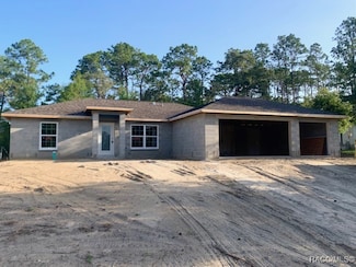 3189 W Badcock Place, Citrus Springs, FL 34433