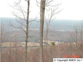 4250 Citadel Rock Rd, Fort Payne, AL 35967