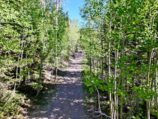 402 N Forest Dr, Brian Head, UT 84719