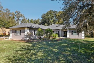 1209 Elysium Blvd, Mount Dora, FL 32757