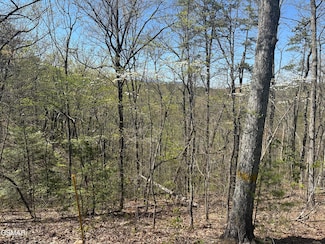 1532 Mountain Dreams Way, Pigeon Forge, TN 37862