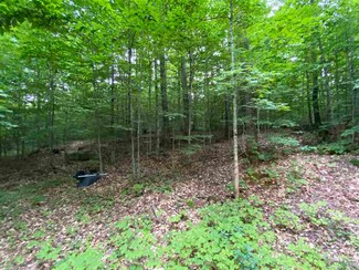 TBD N Us 31 Hwy, Levering, MI 49755