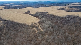 30+/-AC Dry Dog Rd, Muscoda, WI 53573