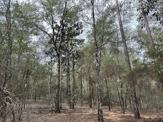 7.6+/- AC Pinderosa Trail, Crestview, FL 32539