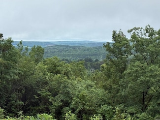 2812 Henderson Rd, Clinton, AR 72031