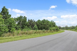 1808 Hunters Loop S, Hardeeville, SC 29927