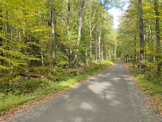 0 Banning Rd, Putney, VT 05346