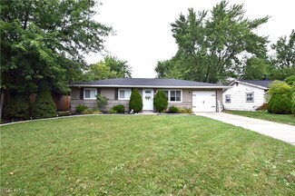 461 Birch Hill Dr, Medina, OH 44256