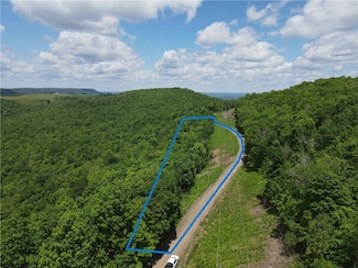 0 Lick Fork Rd, Witts Springs, AR 72686
