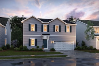 Water Lily, Ranson, WV 25438