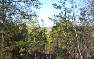 0 Turtle Run Rd Unit 290850, Turtletown, TN 37391