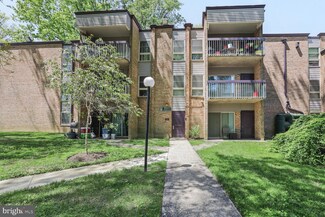 2211 Greenery Ln, Silver Spring, MD 20906