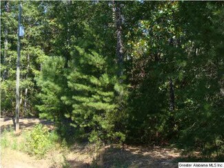 0 Camp Branch Rd Unit 3.6 AC 607929, West Blocton, AL 35184