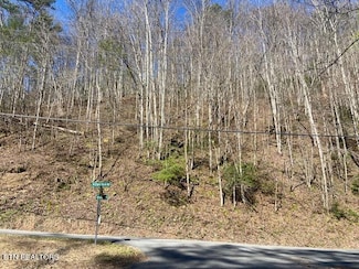 Lot 1 N Clear Fork Rd, Sevierville, TN 37862