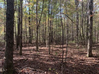 0 Lake Louisa Loop Unit RTC2310137, Monteagle, TN 37375
