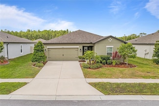 19041 Alfaro Loop, Spring Hill, FL 34610
