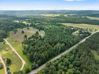 TBD Thumb Lake Rd Unit Parcel 1, Boyne Falls, MI 49713