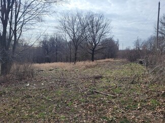 Lot 4 Songbird, Washburn, MO 65772