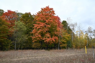 0 Motz Rd Parcel A Rd SW, Kalkaska, MI 49646