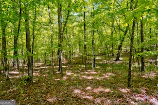 98 ACRES +/- George Smith Rd, Talbotton, GA 31827