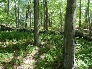 184 Shore Rd, Old Lyme, CT 06371