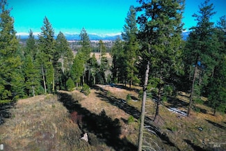 Lot 3 Bella View Dr, McCall, ID 83638