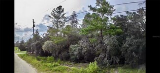 2912 Woodhill St, Inverness, FL 34452