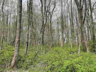 Lot 28 Hobbits Glenn Estates, Masontown, WV 26542