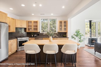 302 Wild Spring Ln Unit 12, Basalt, CO 81621