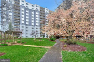 7333 New Hampshire Ave, Takoma Park, MD 20912