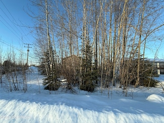 L11 B17 E 6th Ave, North Pole, AK 99705