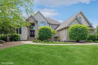 17948 S Crystal Lake Dr, Mokena, IL 60448