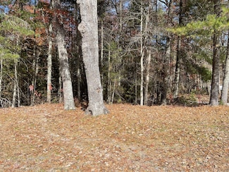2075 Wright Mountain Rd, Rock, WV 24747