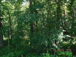 X Turner Rd, Piney, AR 71913